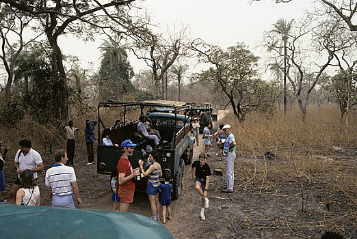冈比亚,游客,旅游