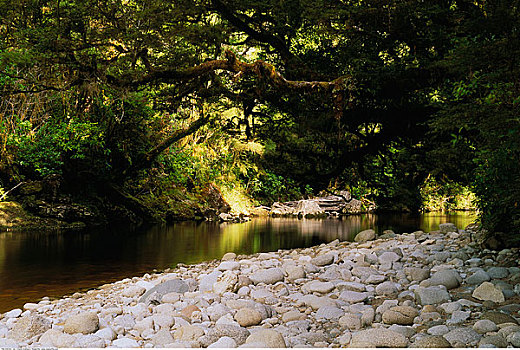 卡胡朗吉国家公园,南岛,新西兰
