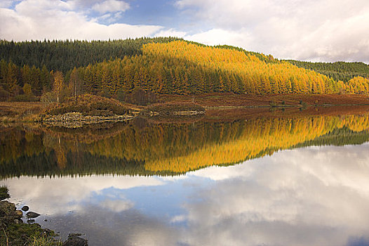 苏格兰,高地,彩色,秋天,树林,反射