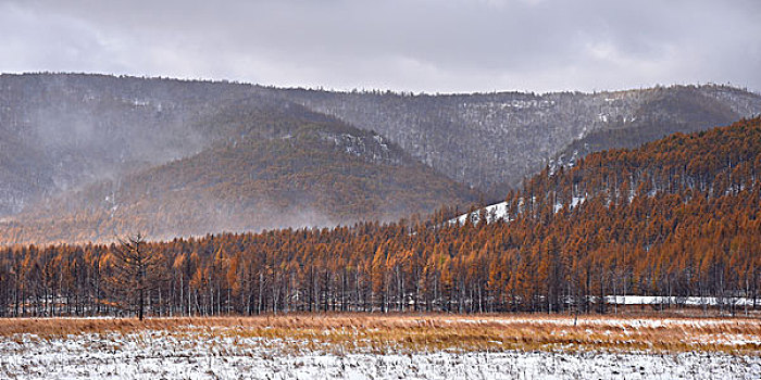 阿尔山雪景