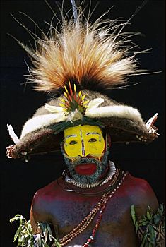 男人,穿,头饰,羽毛,吸蜜鹦鹉,巴布亚新几内亚