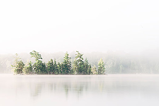 雾,上方,湖