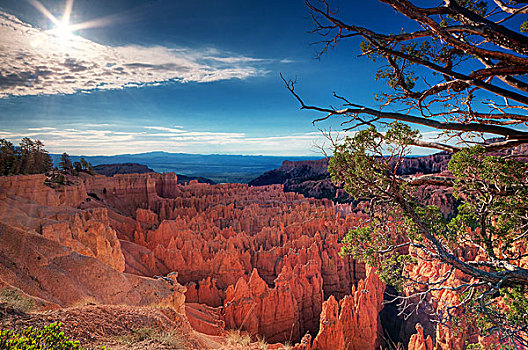 bryce,canyon