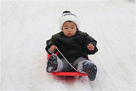 日本人,男孩,雪撬,2岁