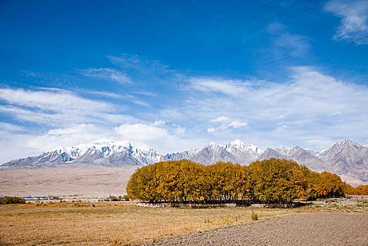 新疆帕米尔高原喀拉苏村庄的田野