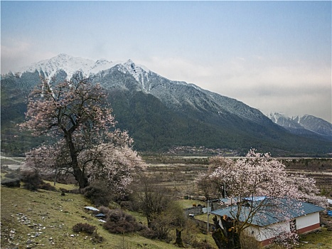 川藏南线路上风景