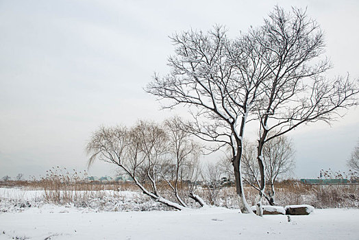 田园冬雪