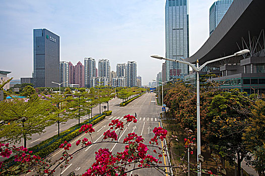 深圳街景,建筑