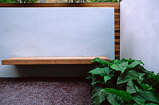 简单,木制长椅,漂浮,墙壁,海芋植物,百合,地被植物