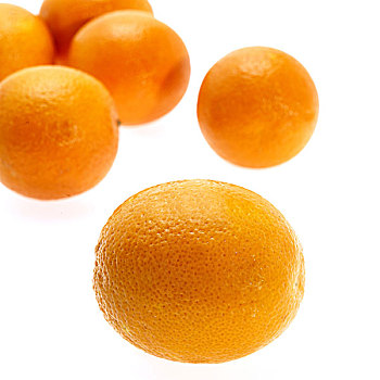 橘子,甜橙,白色背景