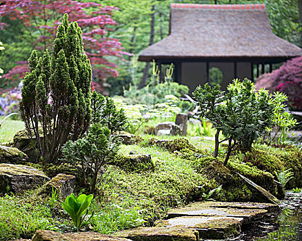 苔藓密布,石头,茶馆,日式庭园