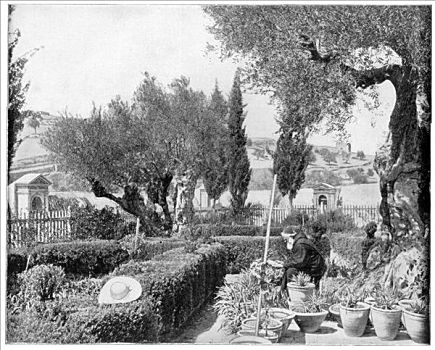 花园,迟,19世纪,艺术家,未知