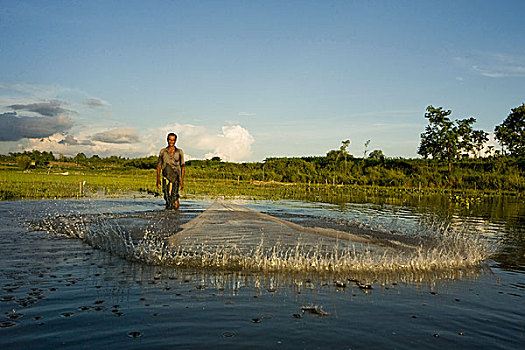 渔民,渔网,水,湿地,乡村,孟加拉,六月,2007年