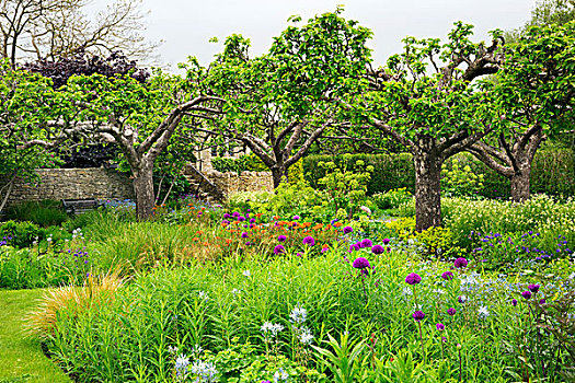 風景,花園,花,床,樹,牛津