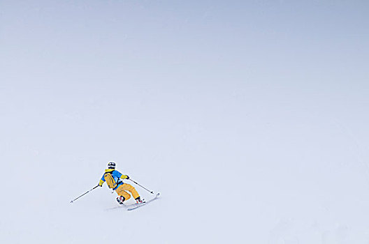 滑雪,下雪,白云岩,威尼托,意大利