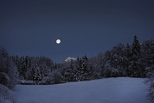 满月,上方,雪原