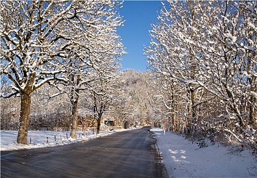 冬天,感觉,自然,街道