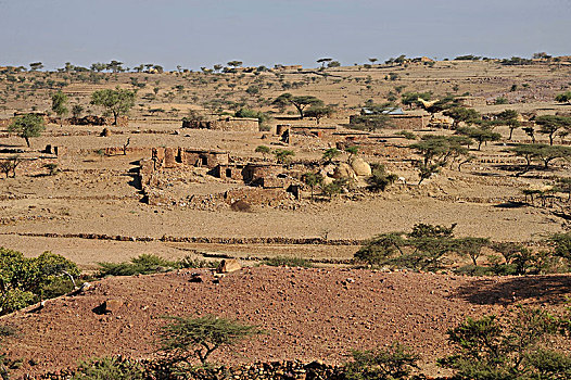 埃塞俄比亚,区域,山,特色,干燥地带,北方,低,石头,房子,围绕,金合欢树