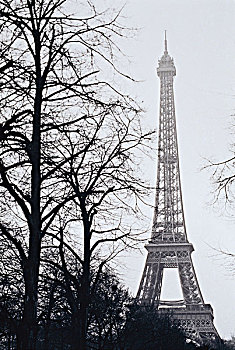 法国,巴黎,埃菲尔铁塔,冬天,大幅,尺寸