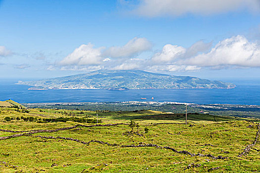 牧场,正面,风景,法亚尔,远景,皮库岛,亚速尔群岛,葡萄牙