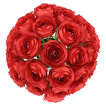 俯视,红玫瑰,花瓶,隔绝,白色背景,背景