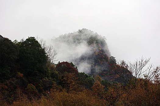 武夷山