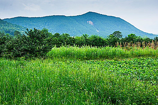 田园风光