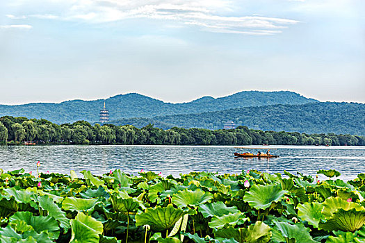 杭州西湖风光夏天