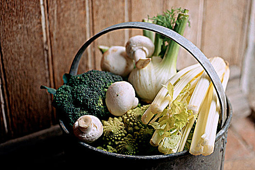 蔬菜,桶,茴香,蘑菇,卷心菜