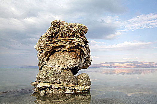 盐,雕塑,死海,约旦河西岸,以色列,中东