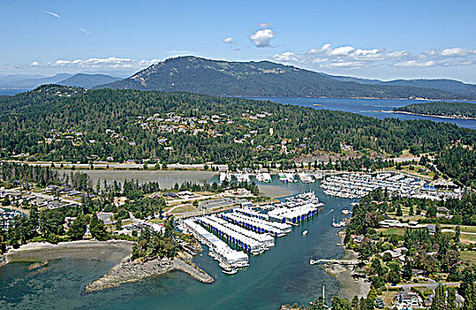 码头,航拍,温哥华岛,不列颠哥伦比亚省,加拿大