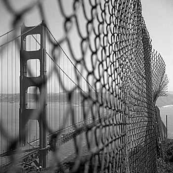 美国,加利福尼亚,旧金山,金门大桥,栅栏,特写,黑白