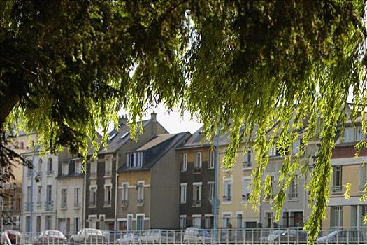 树,建筑,背景,萨尔特,卢瓦尔河地区,法国