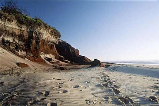 黑色,砂岩,石头,国家公园,新南威尔士,澳大利亚