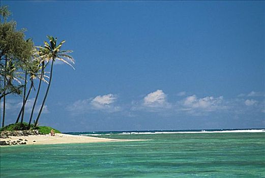 夏威夷,莫洛凯岛,海滩,生动,太平洋,棕榈树,白沙