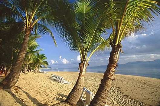 空,休闲椅,海滩,苏梅岛,泰国