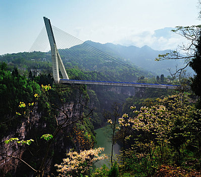 斜塔斜拉桥跨径世界第,银百高速公路正安芙蓉江大桥