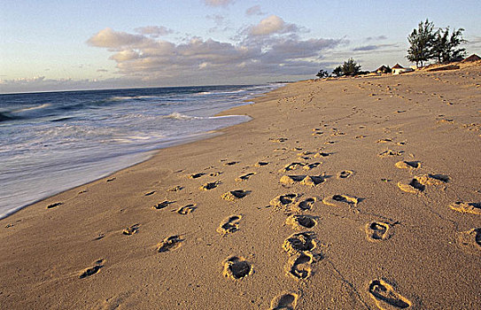 脚印,海滩,莫桑比克,十二月,2002年