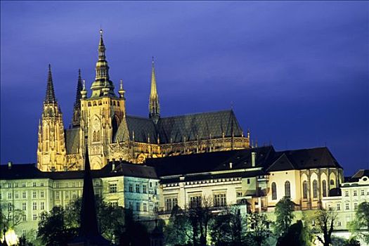 捷克共和国,布拉格,城堡,人,大教堂,黄昏