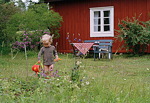 孩子,穿,裤子,花园,红色,瑞典人,假日,屋舍