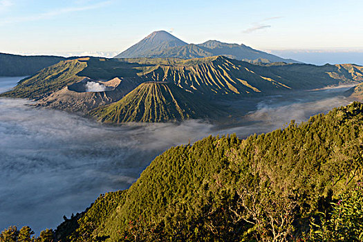 婆罗摩火山,火山,火山口,东方,爪哇,爪哇岛,印度尼西亚,东南亚