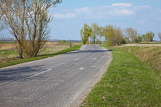 道路