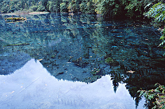 四川九寨沟水景,全景