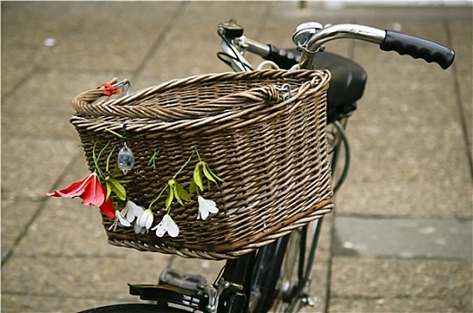 自行车,篮子,装饰,花