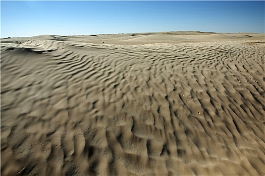 荒漠沙丘,撒哈拉沙漠