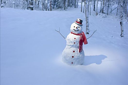 雪人,红色,围巾,黑色上衣,帽子,站立,正面,积雪,桦树,树林,冬天
