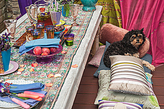 低,花园桌,茶,玻璃,水果,狗,坐在地板上,垫子,木质,平台