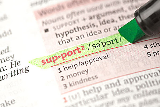 支持,定义,突显,绿色,字典