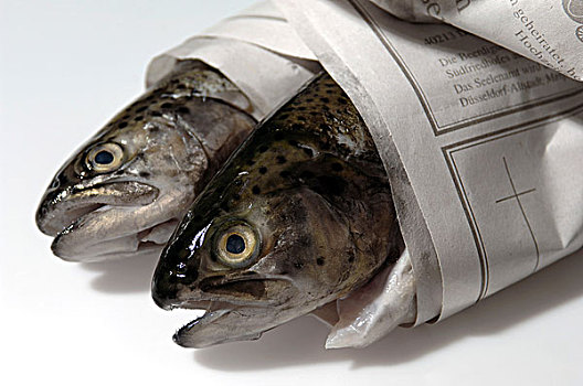 鲑鱼,包着,报纸