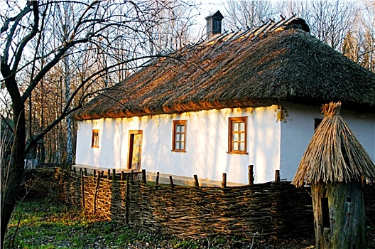 传统,乌克兰人,房子